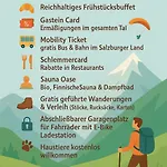 Alpenhof - New Sauna Area 3* バート・ホーフガシュタイン